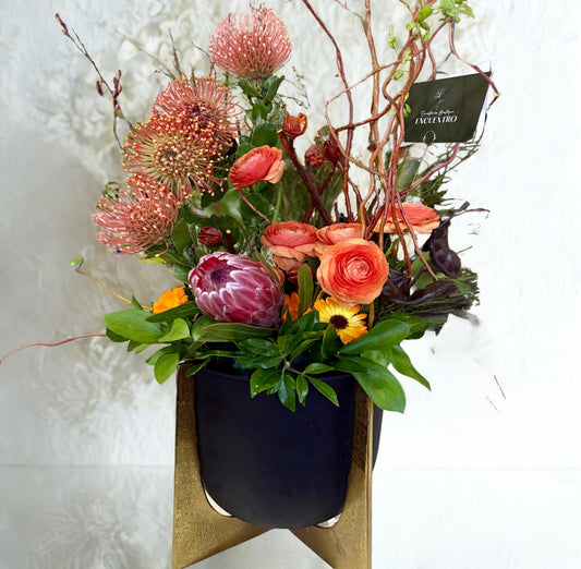 Colección Encuentro "Protea"