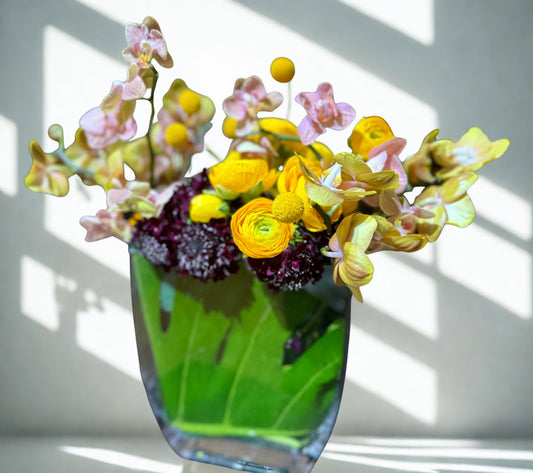 Esplendor floral