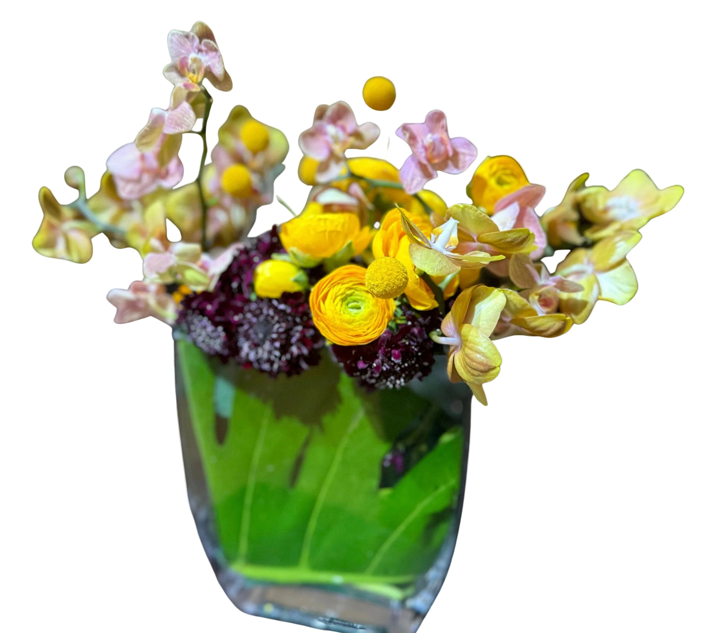 Esplendor floral