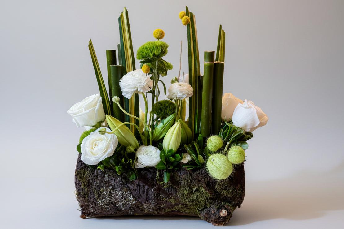 Colección Minimalista "Armonía"