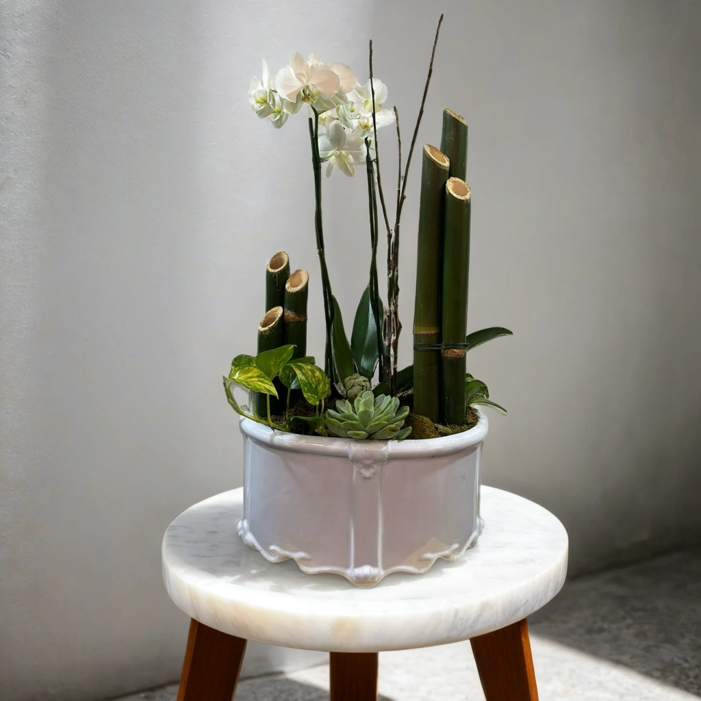 Jardín con Orquídea