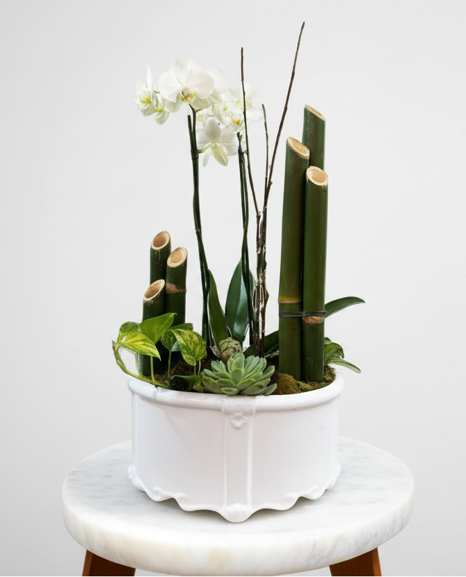Jardín con Orquídea