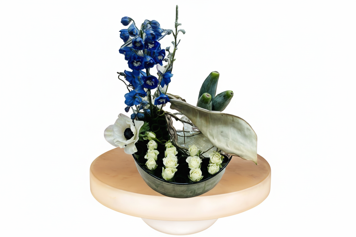 Colección Minimalista "Balance"