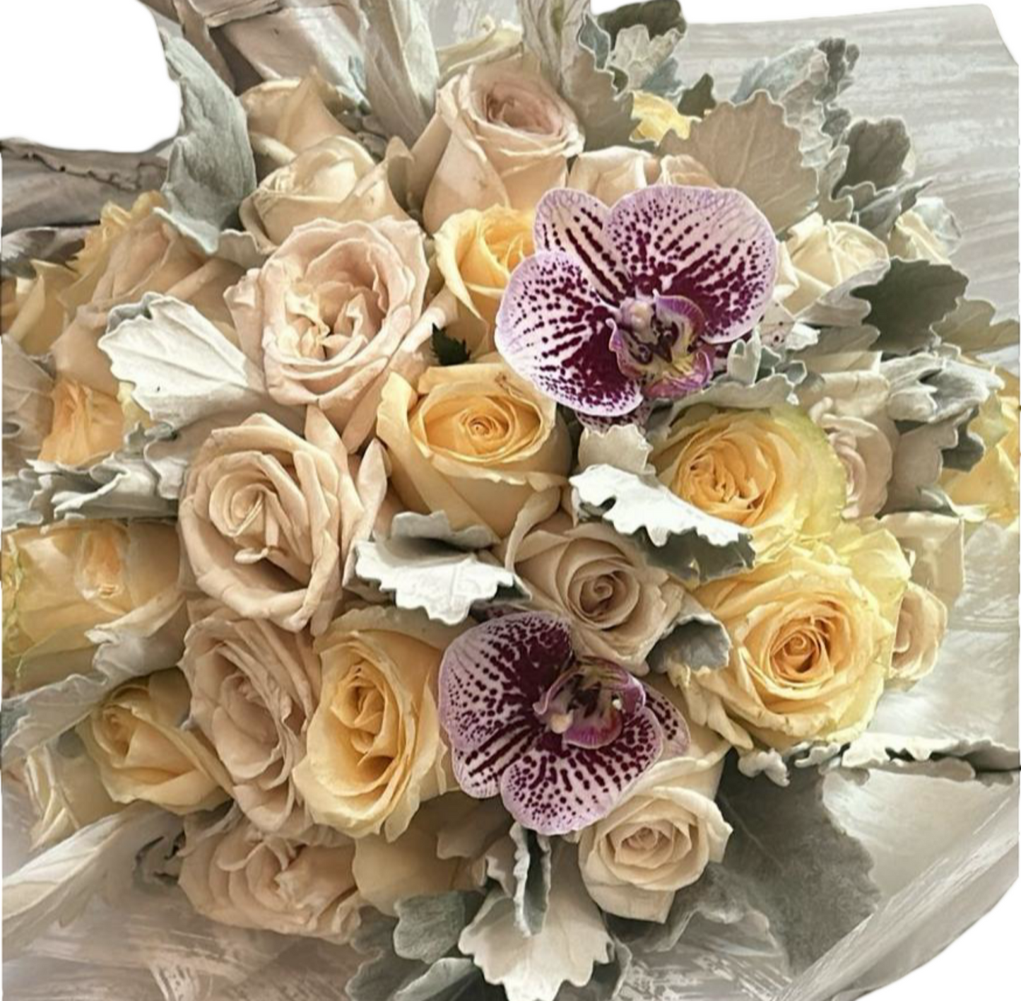 rosas orquideas flores boutique