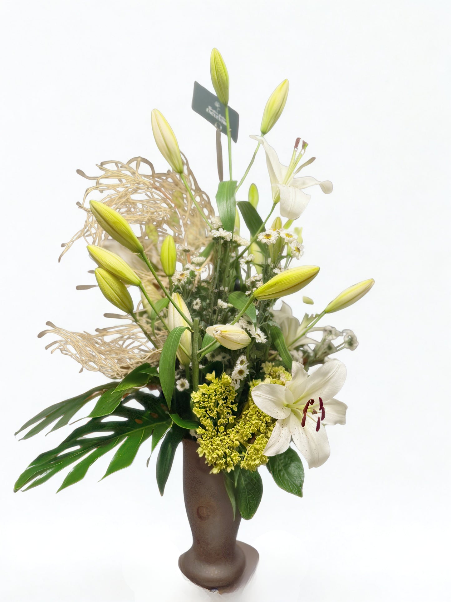 Lilium
