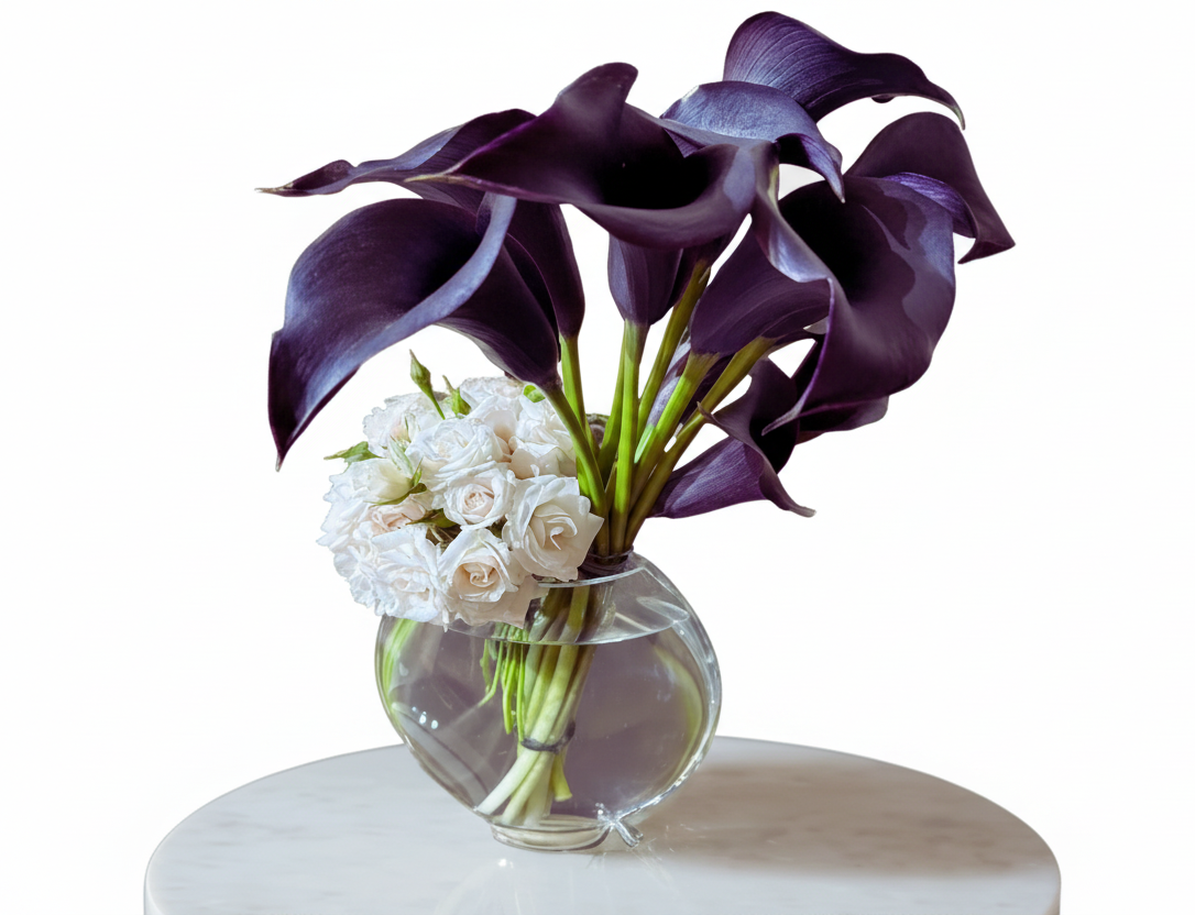 Colección Encuentro “Sinfonía”