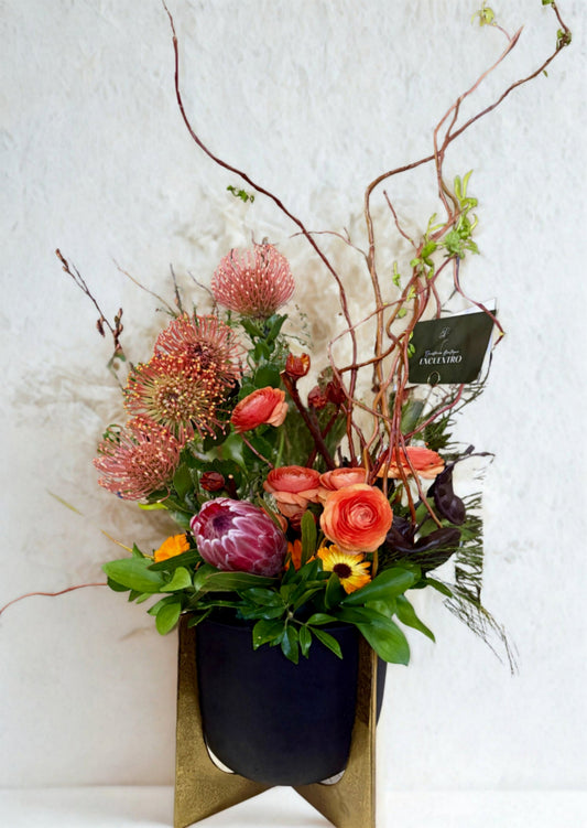 Colección Encuentro "Protea"