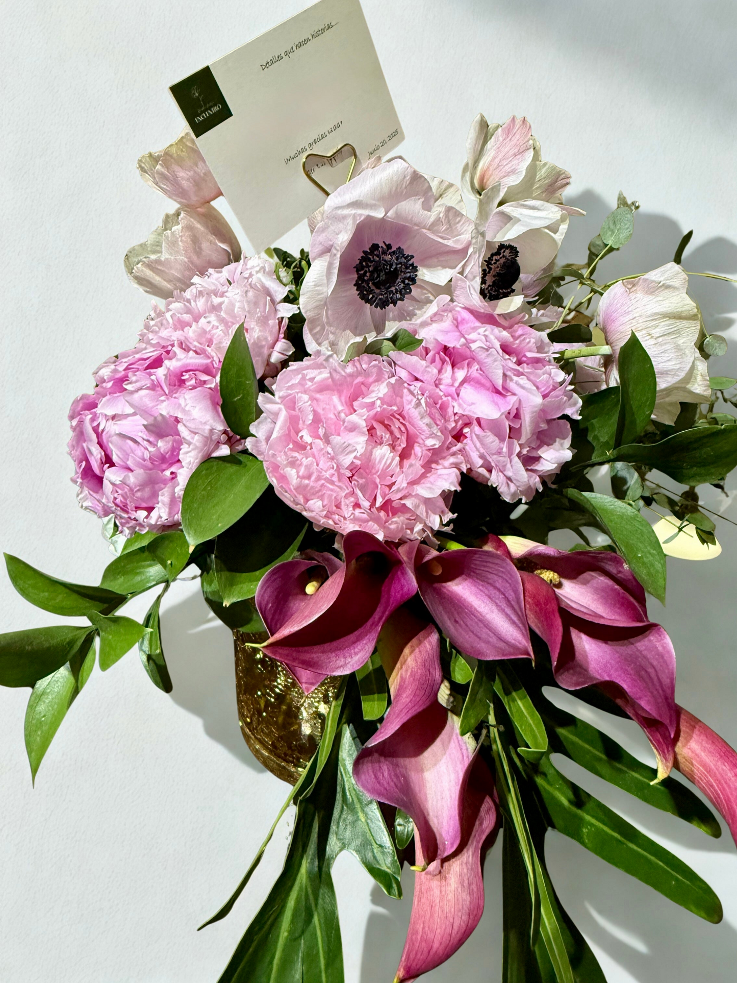 Colección Encuentro "Primavera”