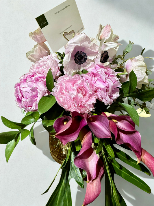 Colección Encuentro "Primavera”