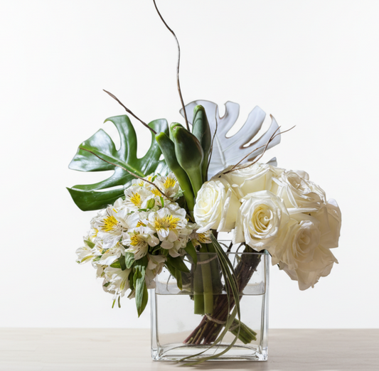 Colección Minimalista "Susurro"