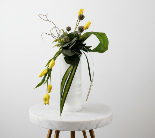 Colección Encuentro "Esencial"