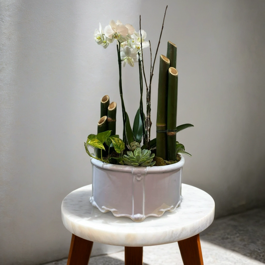 Jardín con Orquídea